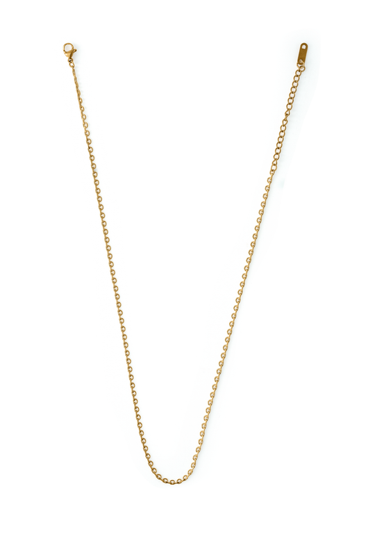Solstice Gleam Chain displayed flat on a white background, highlighting its minimalist gold chain style for elegant accessorizing.